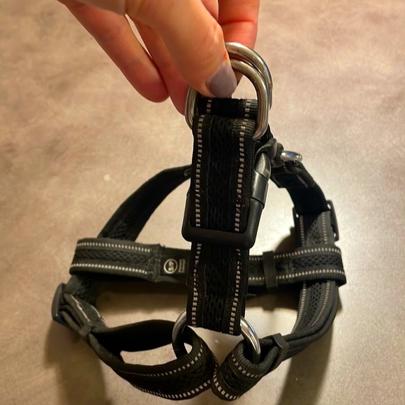 Small dog harness - Picture 2 of 3